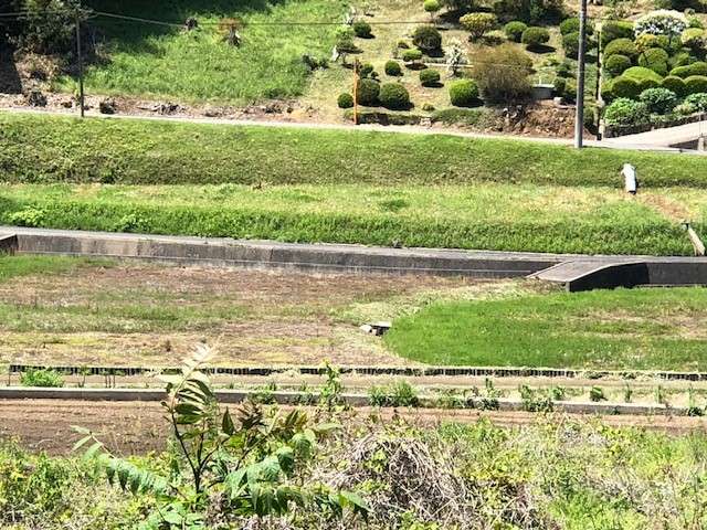 岡山県の空き家の実態